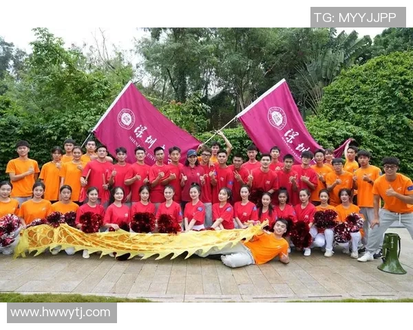 以Meiko辅助为核心解析团队协作与赛场节奏掌控艺术