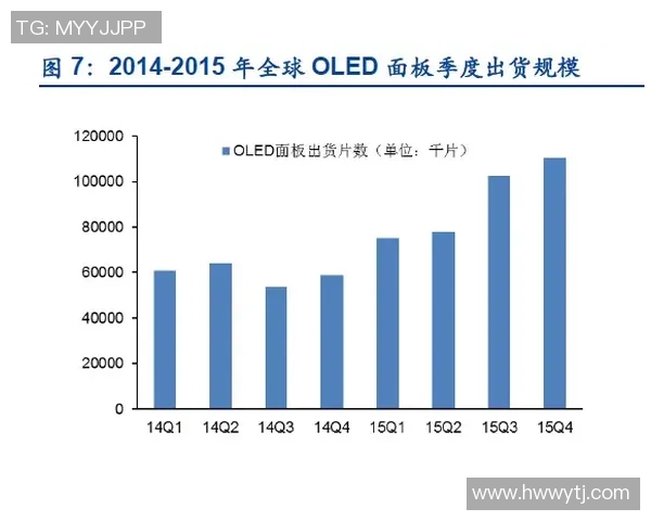 CFO与FNC的职责对比与发展趋势分析探讨